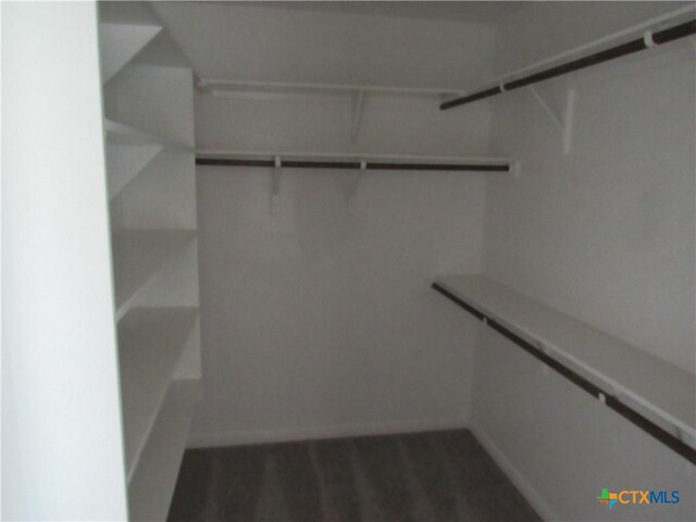 10018 Kensley Rose Dr, Killeen, TX 76542 - view of walk in closet