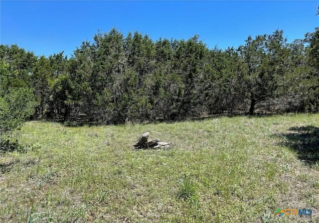 11360 Fm 32, Fischer, TX 78623