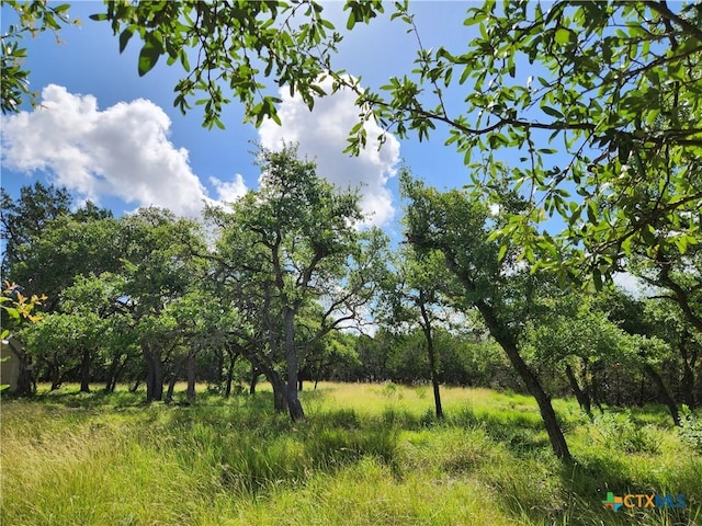11360 Fm 32, Fischer, TX 78623 - photo 4