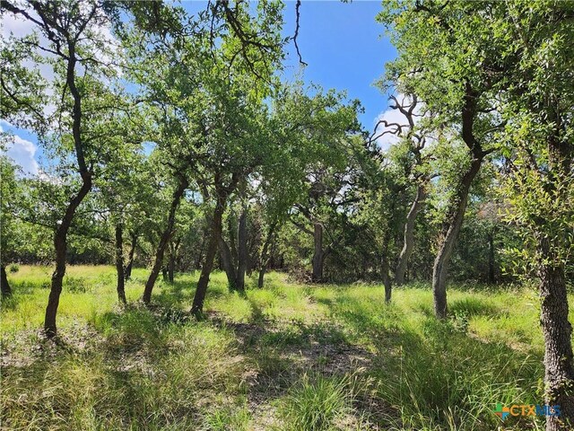 11360 Fm 32, Fischer, TX 78623 - photo 12