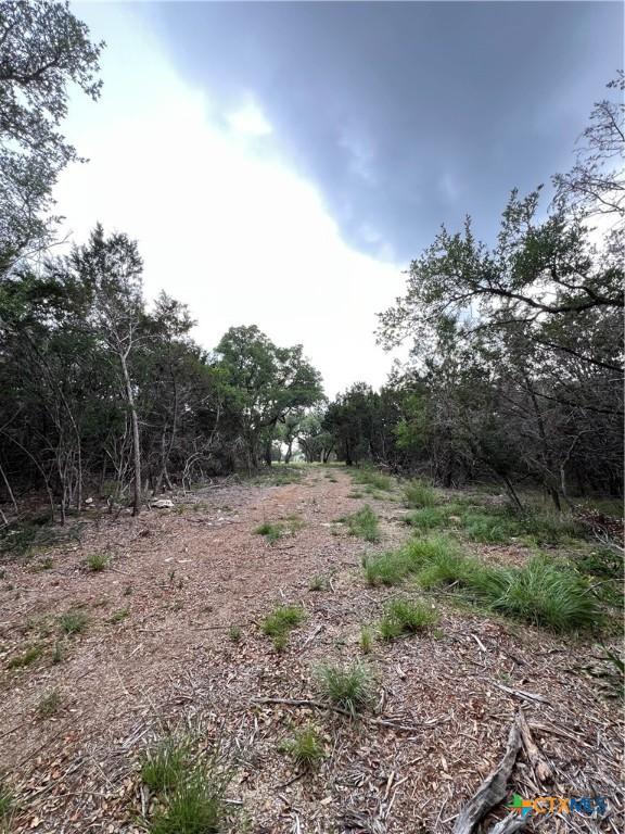 11360 Fm 32, Fischer, TX 78623
