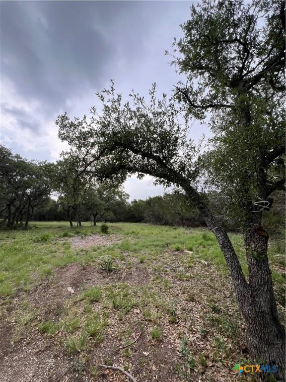 11360 Fm 32, Fischer, TX 78623