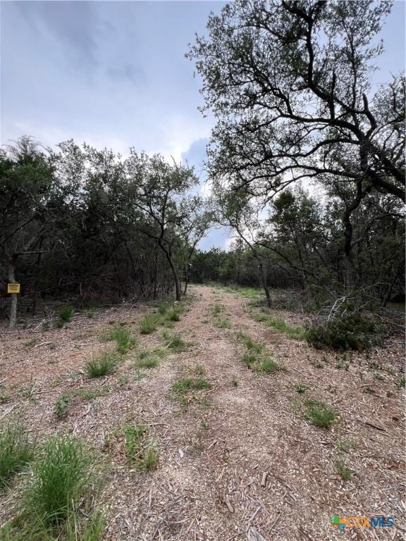 11360 Fm 32, Fischer, TX 78623