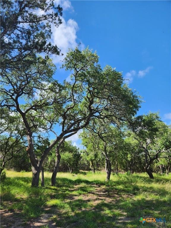 11360 Fm 32, Fischer, TX 78623 - photo 22