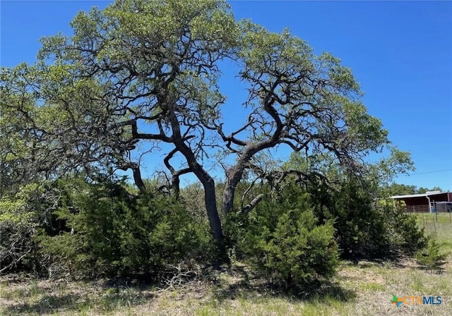 11360 Fm 32, Fischer, TX 78623