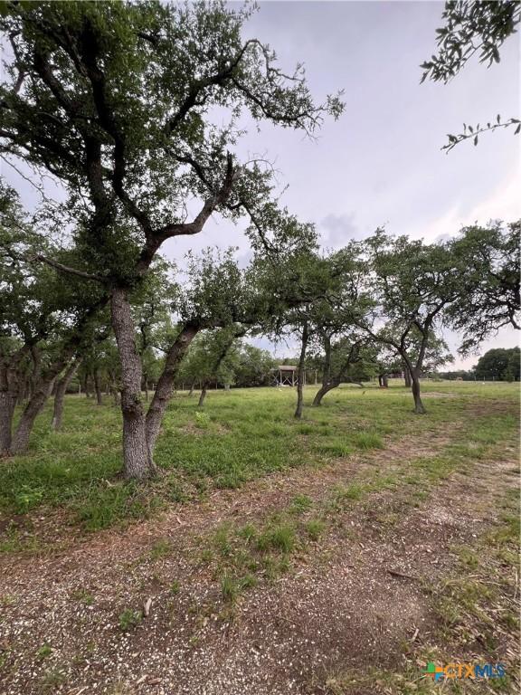 11360 Fm 32, Fischer, TX 78623