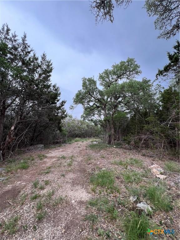 11360 Fm 32, Fischer, TX 78623