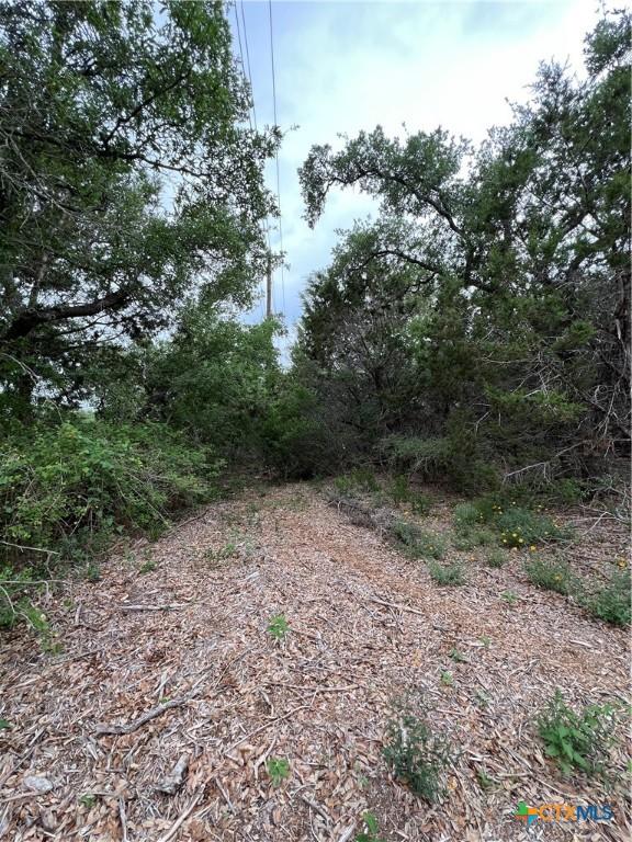 11360 Fm 32, Fischer, TX 78623