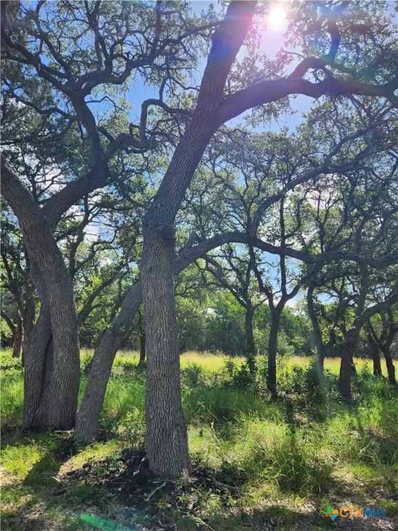 11360 Fm 32, Fischer, TX 78623 - photo 20