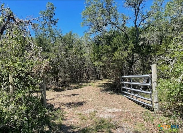 11360 Fm 32, Fischer, TX 78623