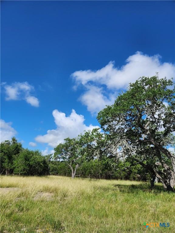 11360 Fm 32, Fischer, TX 78623 - photo 2