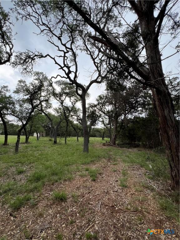 11360 Fm 32, Fischer, TX 78623