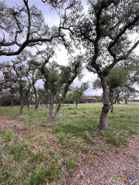 11360 Fm 32, Fischer, TX 78623