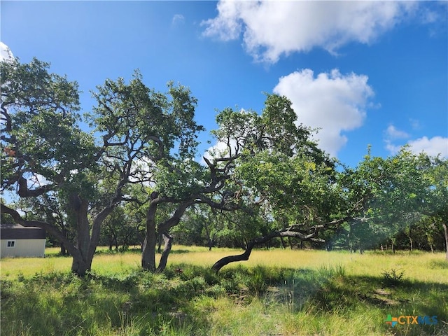 11360 Fm 32, Fischer, TX 78623 - photo 5
