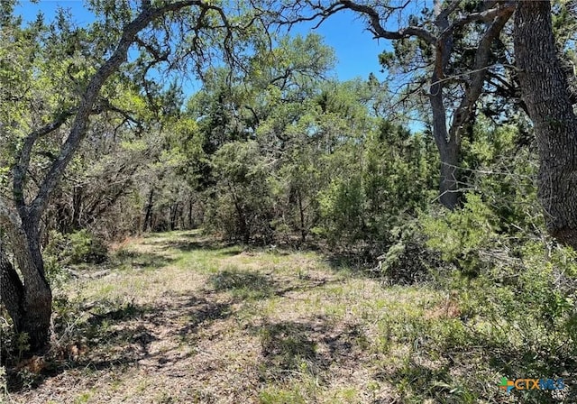 11360 Fm 32, Fischer, TX 78623