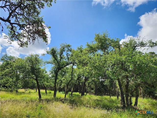 11360 Fm 32, Fischer, TX 78623 - photo 3