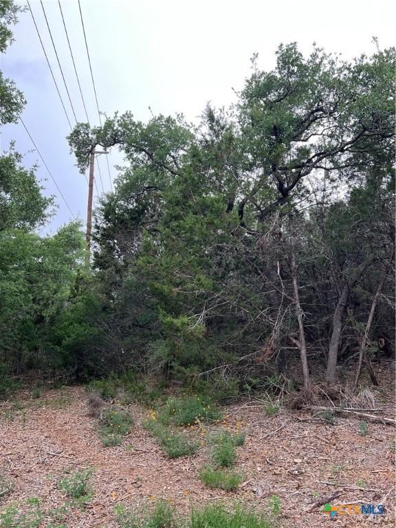 11360 Fm 32, Fischer, TX 78623