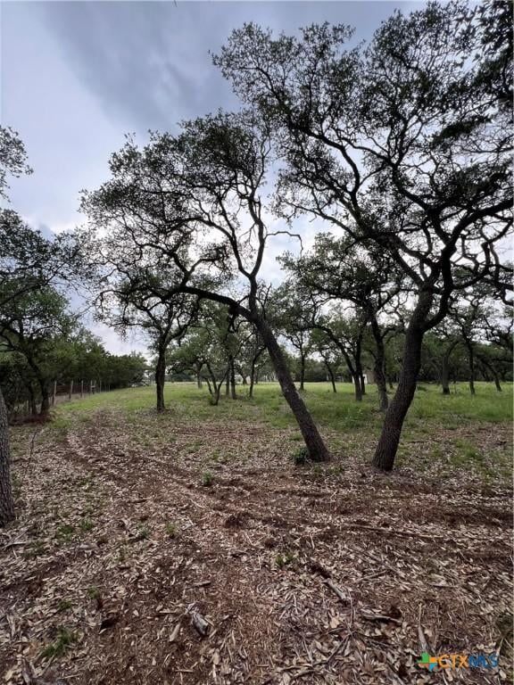 11360 Fm 32, Fischer, TX 78623