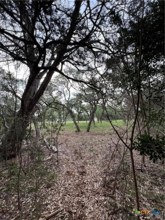 11360 Fm 32, Fischer, TX 78623