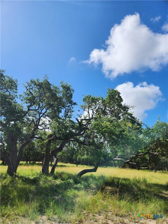 11360 Fm 32, Fischer, TX 78623 - photo 17