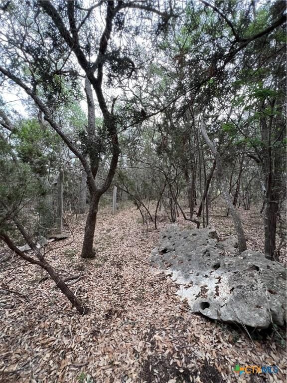 11360 Fm 32, Fischer, TX 78623