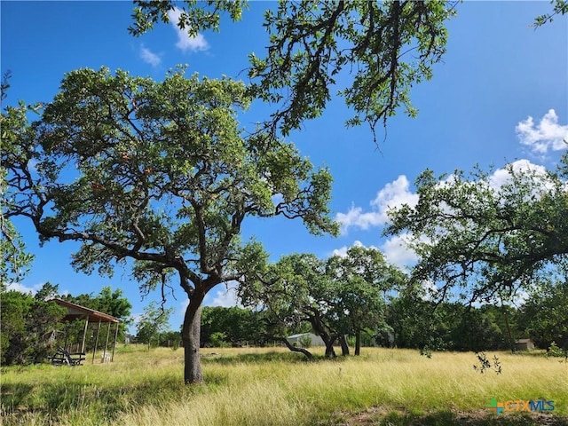 11360 Fm 32, Fischer, TX 78623 - photo 18
