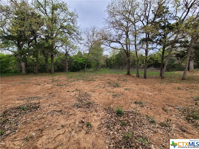 Listing photo 3 for 160 Arbor Hill Way, Cedar Creek TX 78612