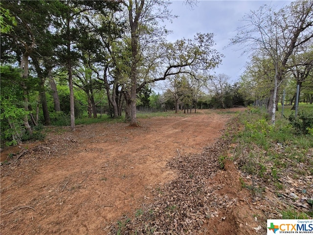 160 Arbor Hill Way, Cedar Creek TX, 78612 land for sale