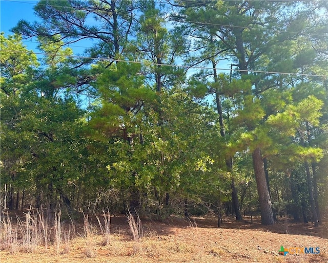 TBD Post Oak Ct, Bastrop TX, 78602 land for sale