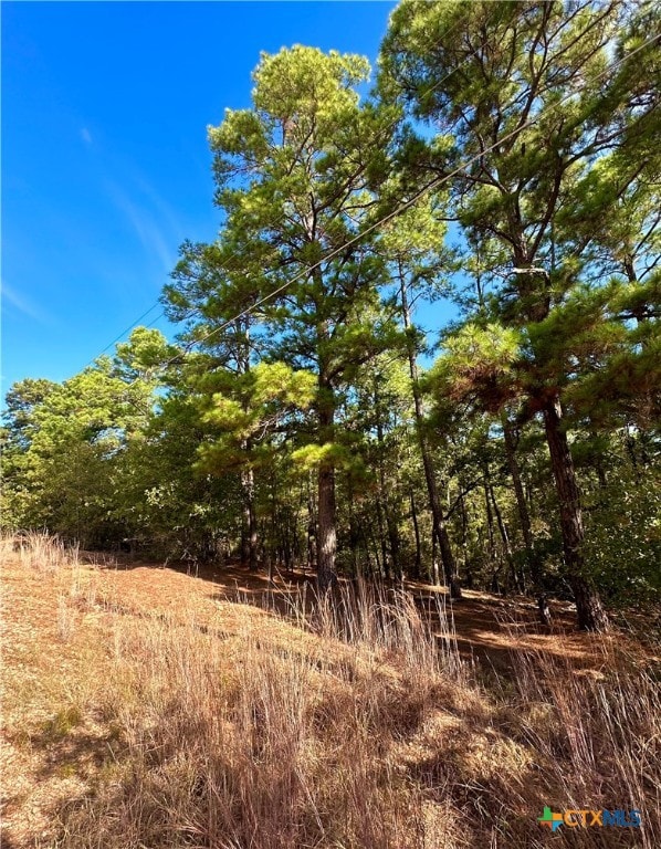 Listing photo 3 for TBD Post Oak Ct, Bastrop TX 78602