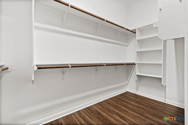 spacious closet with dark wood-type flooring