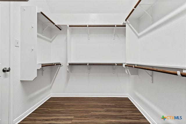 spacious closet with dark wood-type flooring