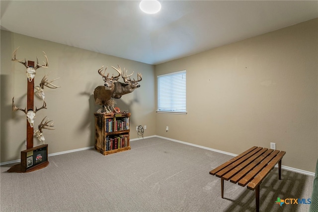 6707 Bayberry Dr, Killeen, TX 76542 - misc room featuring carpet flooring and baseboards