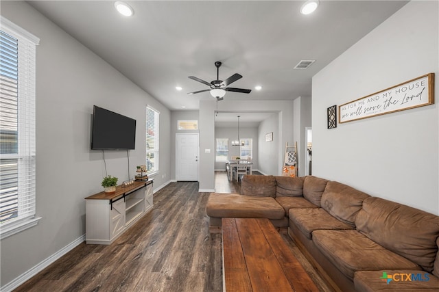 living room with ceiling fan with notable chandelier and dark wood-type flooring