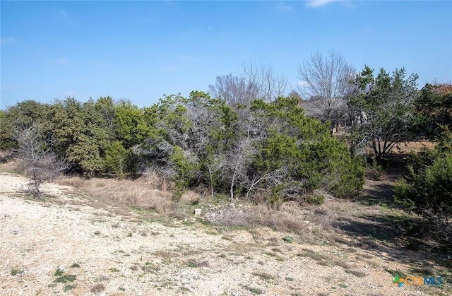 view of landscape