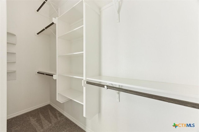 606 Juniper Dr, Troy, TX 76579 - walk in closet with dark colored carpet