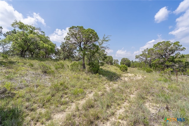 19705 Tyler Trl, Jonestown, TX 78645 - photo 25