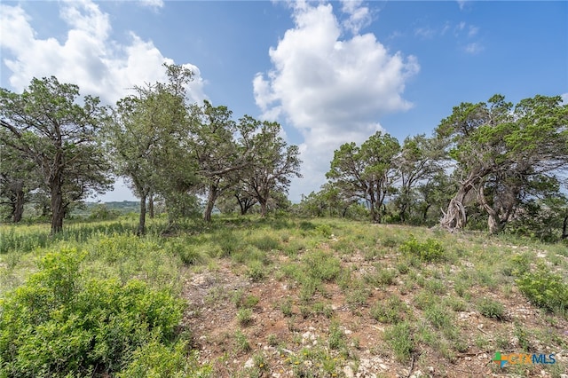 19705 Tyler Trl, Jonestown, TX 78645 - photo 10