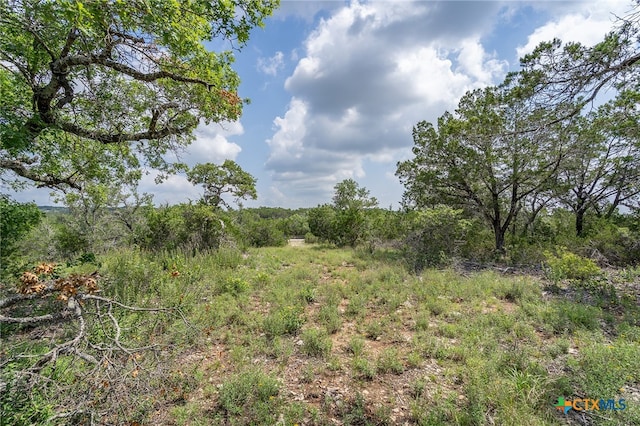 19705 Tyler Trl, Jonestown, TX 78645 - photo 20