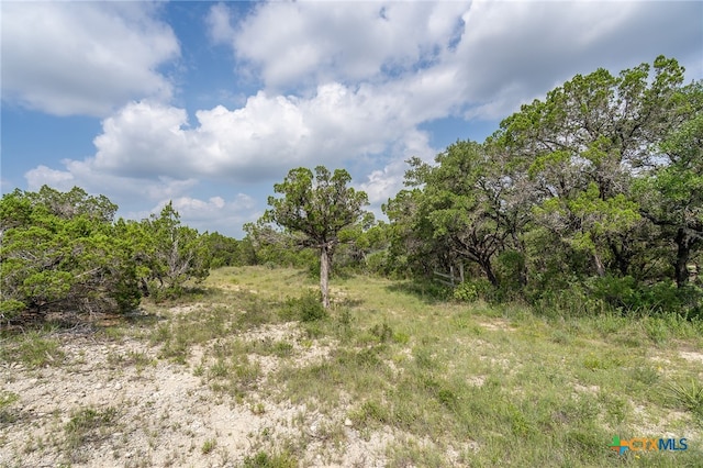 19705 Tyler Trl, Jonestown, TX 78645 - photo 2