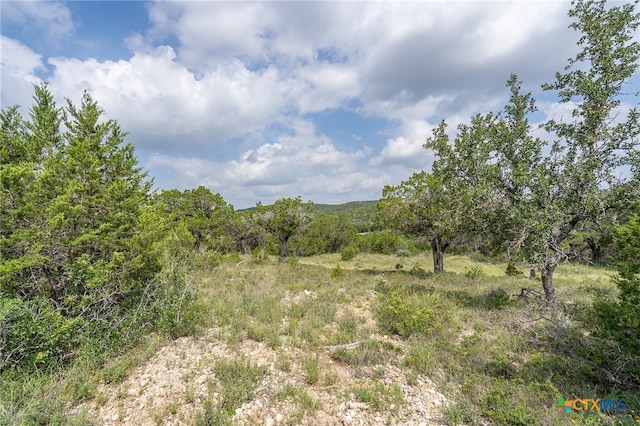 19705 Tyler Trl, Jonestown, TX 78645 - photo 3