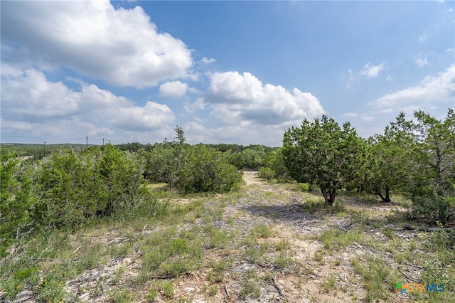 19705 Tyler Trl, Jonestown, TX 78645 - photo 4