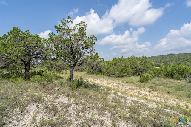 19705 Tyler Trl, Jonestown, TX 78645 - photo 21
