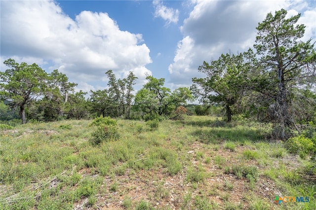 19705 Tyler Trl, Jonestown, TX 78645 - photo 19
