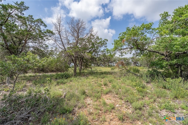 19705 Tyler Trl, Jonestown, TX 78645 - photo 5