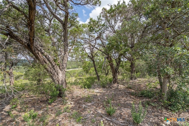19705 Tyler Trl, Jonestown, TX 78645 - photo 9