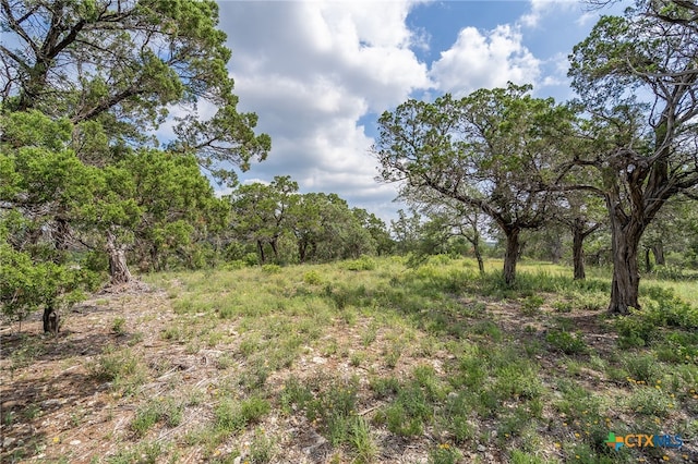 19705 Tyler Trl, Jonestown, TX 78645 - photo 11