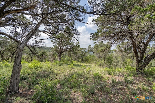 19705 Tyler Trl, Jonestown, TX 78645 - photo 14