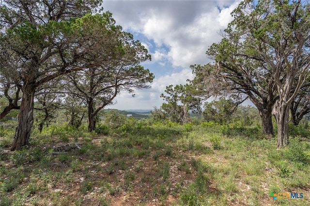 19705 Tyler Trl, Jonestown, TX 78645 - photo 16