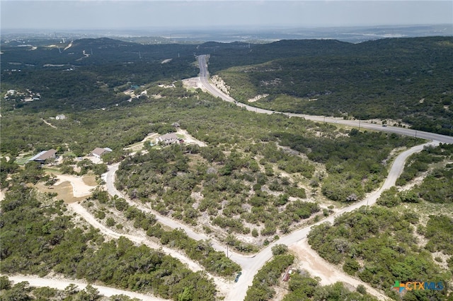 19705 Tyler Trl, Jonestown, TX 78645 - photo 31